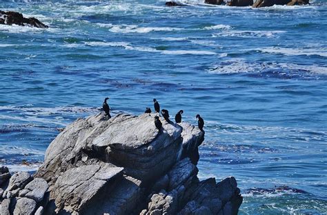 Monterey Coast 13 Photograph By Adam Riggs Fine Art America