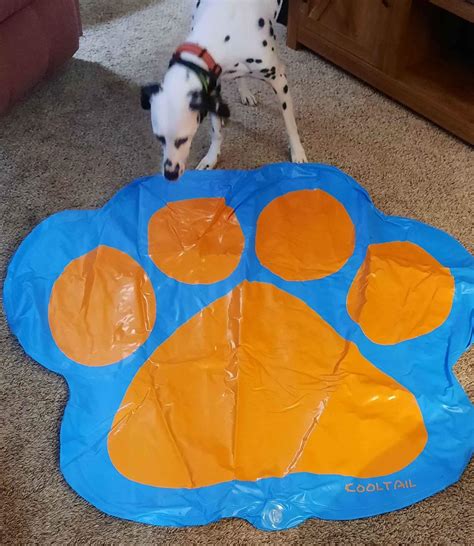 Buy and Sell in Mansfield, Ohio | Facebook Marketplace