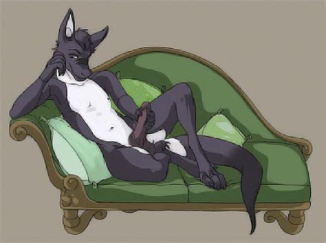 Rule 34 Animated Anthro Chair Erection Furry Male Male Only Masturbation Penis Pillow Smile