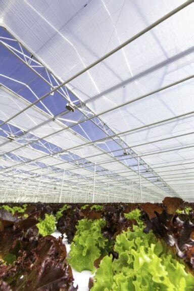 The Story Behind Greenhouse Curtains Greenhouse Grower