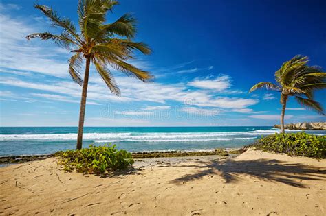 Jay z bono the edge rihanna. Karibischer Strand Und Tropisches Meer In Haiti Stockfoto ...