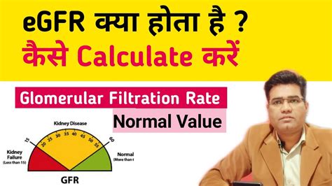 What Is Egfr Estimated Glomerular Filtration Rate Normal Range