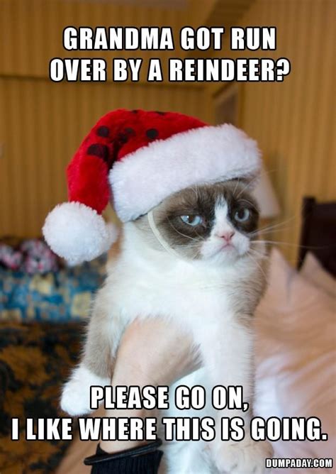 Grumpy Cat Hates Christmas Funny Meme Funny Memes