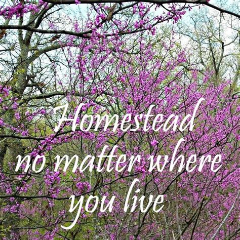 How To Start Homesteading No Matter Where You Live From Oak Hill