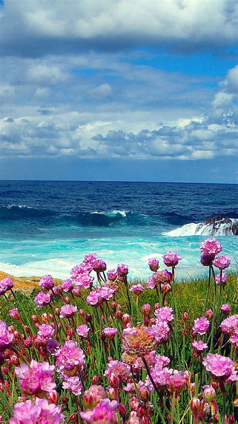 Pin By Tina Ellison On Travel Beautiful Landscapes Beautiful Nature