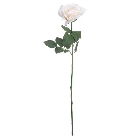 White Silk Garden Rose Wholesale By Hill Interiors