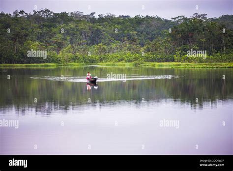 Dugout Canoe Boat Ride In An Amazon Rainforest Lagoon At Sacha Lodge