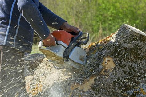 The range is so variable because trees themselves are varied in size and difficulty to remove. What Is The Average Cost Of Tree Stump Grinding In Utah ...