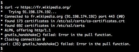 Wikipedia Blocked In Turkey Vyagers