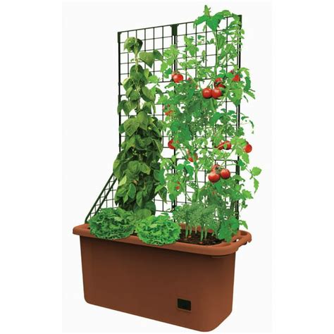 Self Watering Vegetable Planter Box With Trellis On Wheels Mobile