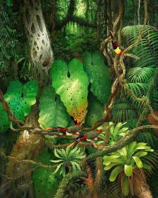 Rainforests Debernardi Vision Tropical Art Nature Illustration