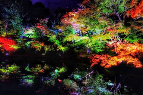 10 Best Autumn Leaves Spots In Kyoto Japan Web Magazine
