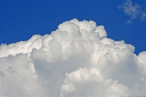 Billowing White Cloud Free Stock Photo Public Domain Pictures