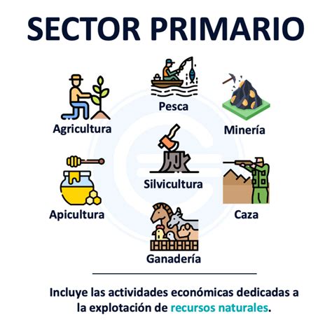 Sector Primario Qué Es Definición Y Concepto 2023 Economipedia