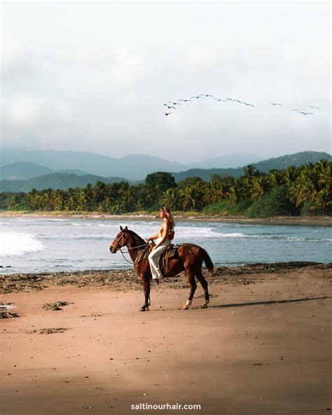10 Best Things To Do In Santa Teresa Costa Rica Ultimate Guide