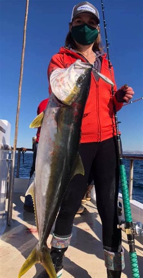 San diego is known for it's incredibly delicious mexican food: Fish Report - The San Diego Fishing Report