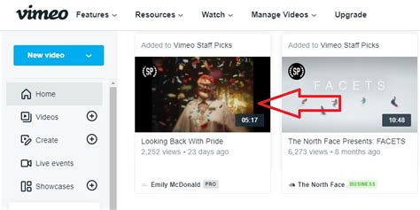 How To Download Private Vimeo Video 4 Easy Methods 2024