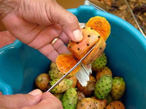 Los beneficios del cactus opuntia describen a una extraordinaria planta que tuvo grandes hallazgos desde el sur de los estados unidos abarcando mucho territorio la particularidad que se nota en su fruto radica en que es de aspecto globoso u ovoide, su medida es 3 y 5cm de largo, también rojizo. 14 Excelentes Beneficios del Nopal para la Salud - Lifeder