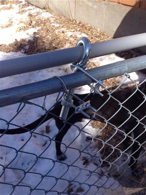 Feral cats are found in 99.8% of the country. DIY dog-proof fence topper / coyote roller. All you need ...