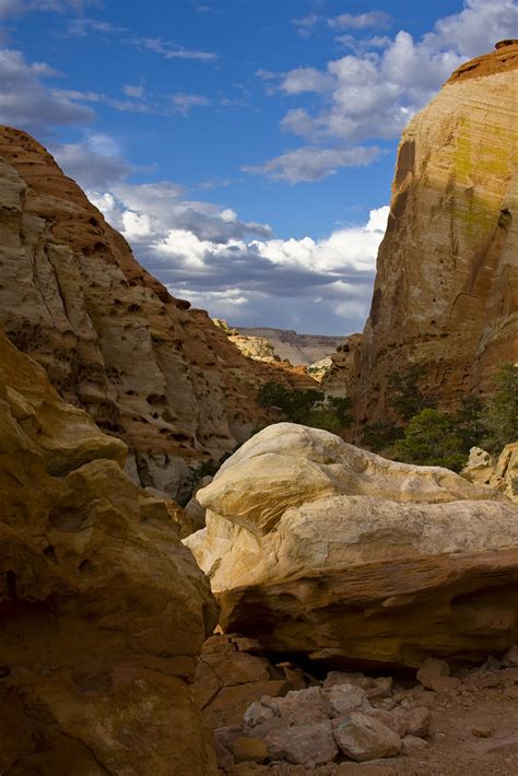 Capitol Reef Canyon Captial Reef National Park Matt Lavere Flickr