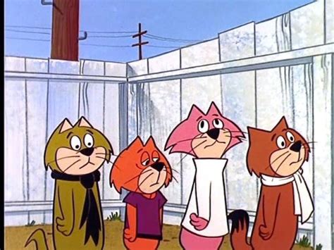 Top Cat Rafeefleas Tv Episode 1961 Imdb
