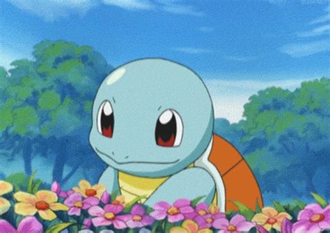 Animation Pokemon  Find And Share On Giphy