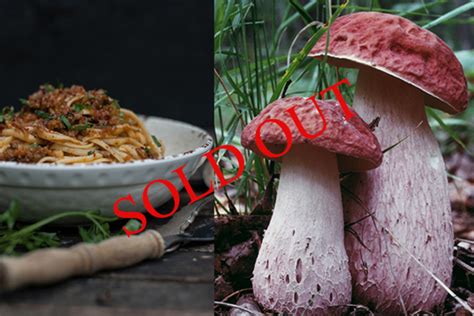 Ontario Foraging Foraging Wild Edibles Wild Mushrooms Stratford