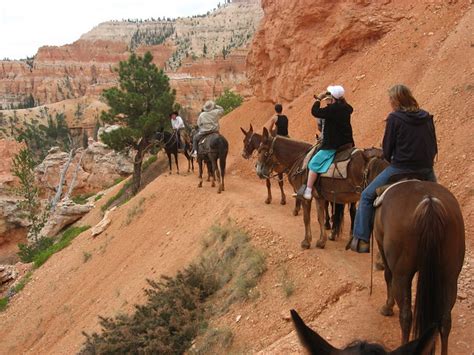 Bryce Canyon Horseback Rides Bryce Canyon Horse Rides Travelwest