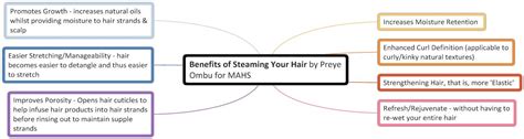 You can manage your hair easier when your is damp and moisturized. My Hair Treatment Steaming Formula & Benefits of Steaming ...