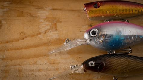 9 Best Salmon Lures Of 2022 Rod And Reel Buying Guide