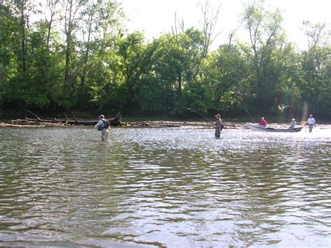 Holston River Middle Tennessee Fly Fishers