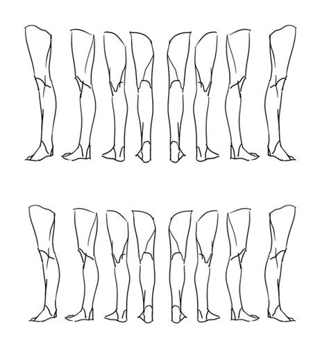 Character Anatomy Legs