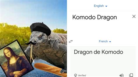 Komodo Dragon In Different Languages Meme Otosection