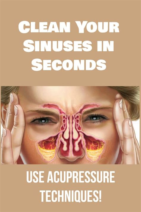 clean your sinuses in seconds use acupressure techniques nature and society magazine