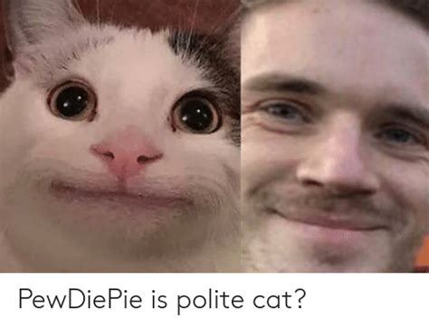 Very Polite Cat Cat Meme Face
