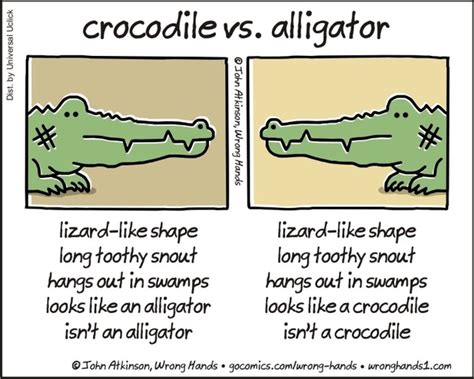 Crocodile Vs Alligator Meme Guy