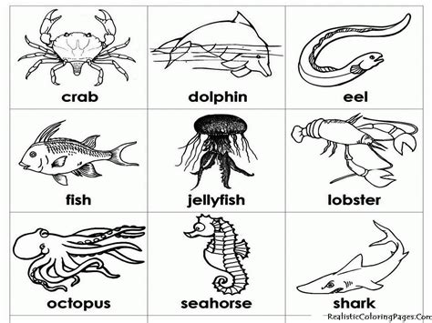 For boys and girls, kids and adults, teenagers and toddlers, preschoolers and older kids at school. Coloring Pages Of Sea Animals Printable - Coloring ...