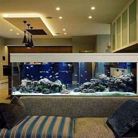 Are You An Aquarist Here Are Some Ways To Incorporate An Aquarium In