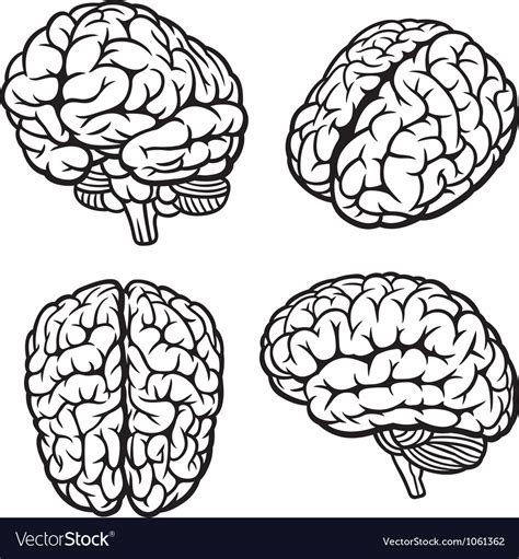 Illustration Human Brain Vector Free Premium Vector Download
