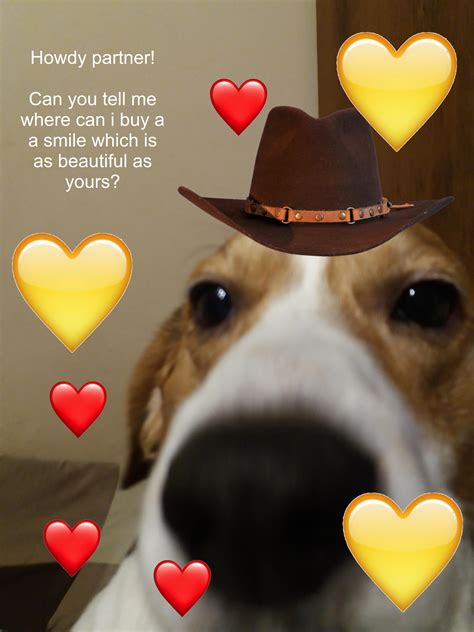 Howdy Beautiful Person R Wholesomememes Wholesome Memes Know Your Meme