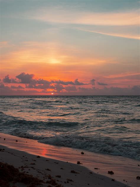 Shore Near Ocean At Golden Hour Hd Phone Wallpaper Peakpx