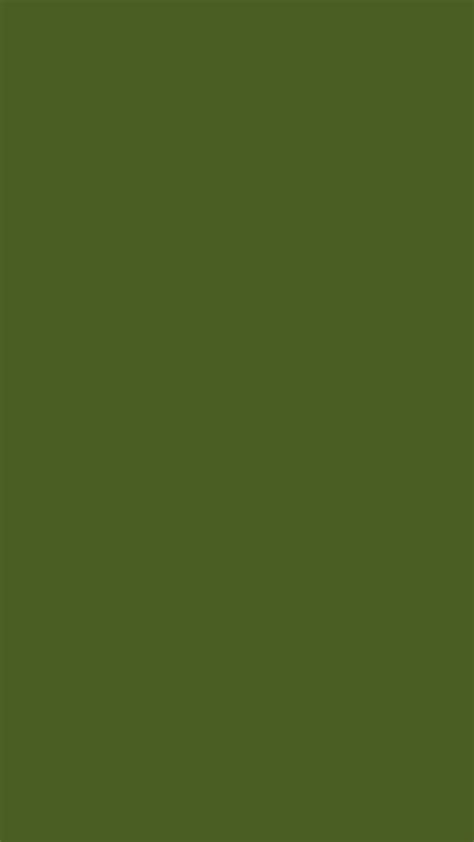 Choose from a curated selection of black wallpapers for your mobile and desktop screens. Dark Moss Green Solid Color Background Wallpaper for ...