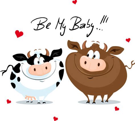 Best Two Cows Illustrations Royalty Free Vector Graphics And Clip Art