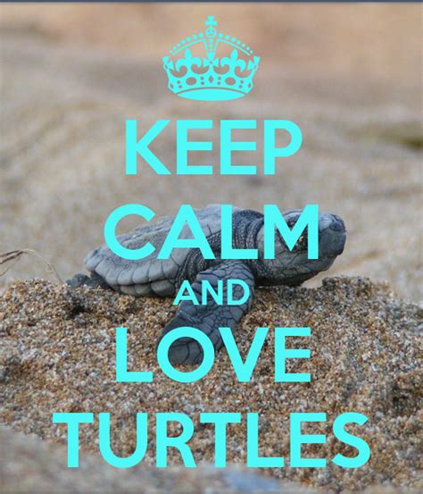 Keep Calm And Love Turtles Keep Calm And Carry On Image Generator