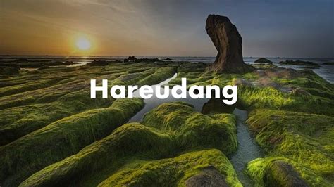 Apa arti kata buaya dalam bahasa gaul ? Arti Kata Haereudang - Kamus Besar Bahasa Indonesia (KBBI)