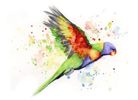 The Best 17 Watercolor Tropical Birds Painting Futuretoonbox