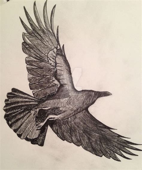 Image Result For Crow Sketch Crow Flying Fly Drawing Crows Drawing