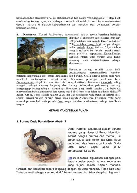 Deskripsi Sapi Dalam Bahasa Inggris Dan Artinya