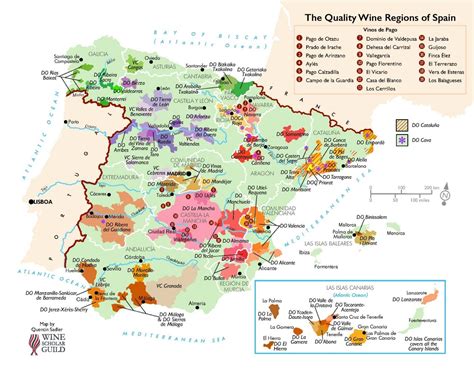 Mapa Del Vino De España Regiones Vinícolas Y Viñedos De España