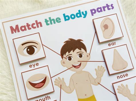 Body Parts Matching Activity Printable Toddler Busy Book Etsy Denmark